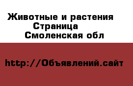  Животные и растения - Страница 21 . Смоленская обл.